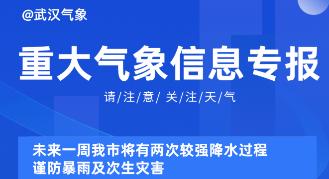 新奧精準(zhǔn)資料免費(fèi)提供510期,新奧精準(zhǔn)資料免費(fèi)提供510期，深度解析與前瞻性預(yù)測