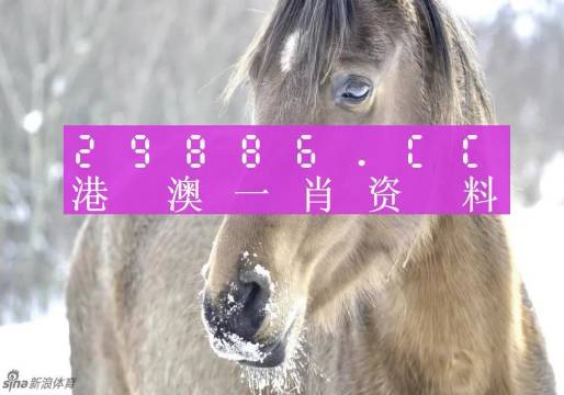 澳門精準(zhǔn)一肖一碼100%,澳門精準(zhǔn)一肖一碼100%，揭示犯罪背后的真相