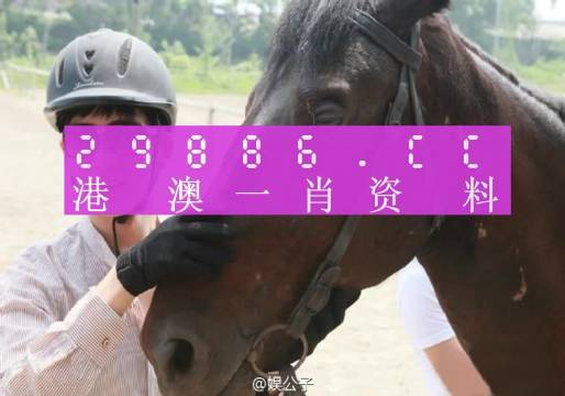 澳門一肖一碼最準(zhǔn)一碼,澳門一肖一碼最準(zhǔn)一碼，揭示背后的真相與風(fēng)險(xiǎn)