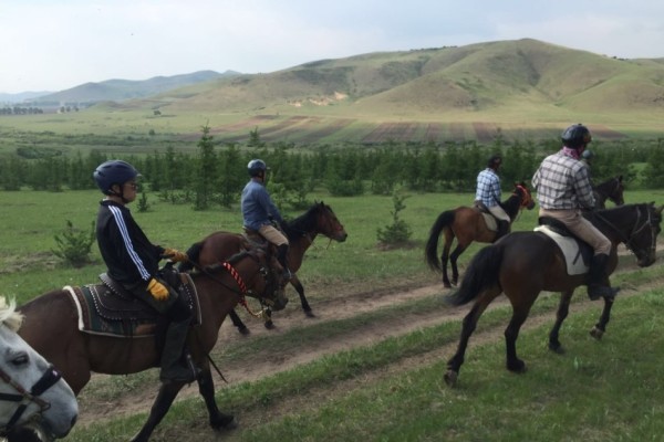 澳門今晚開特馬四不像圖,澳門今晚開特馬四不像圖，揭示違法犯罪的危害與警示