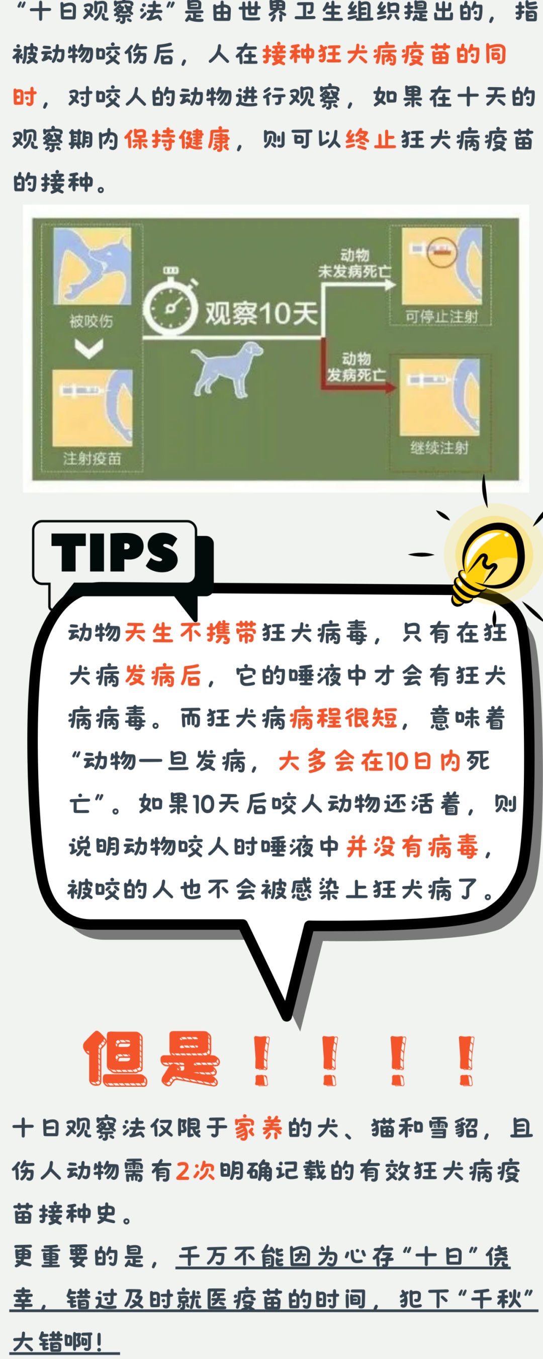 澳門管家婆四肖選一肖期期準,澳門管家婆四肖選一肖期期準——揭開神秘面紗下的違法犯罪真相