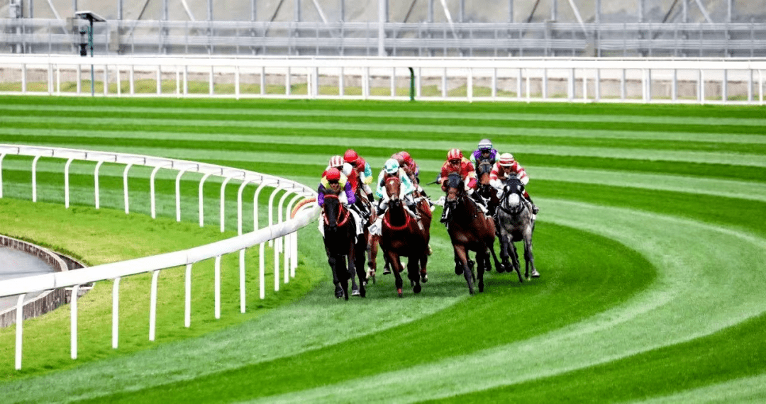 930香港馬精準資料,香港賽馬精準資料，探索930賽事的奧秘