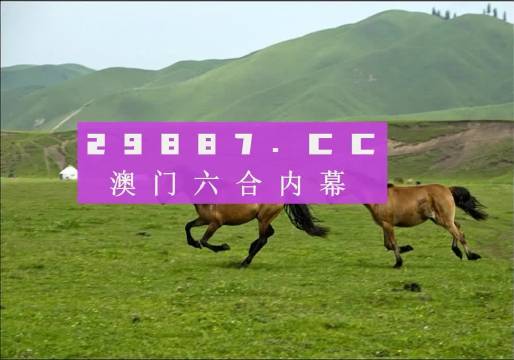 7777788888跑狗論壇資料,探索跑狗論壇，數(shù)字組合的魅力與策略分享