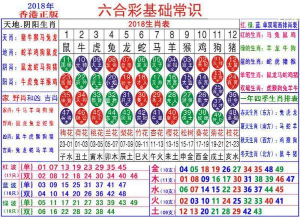 2024年12月 第488頁