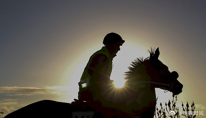 2024年澳門特馬今晚開獎號碼,關于澳門特馬今晚開獎號碼的探討——警惕違法犯罪風險