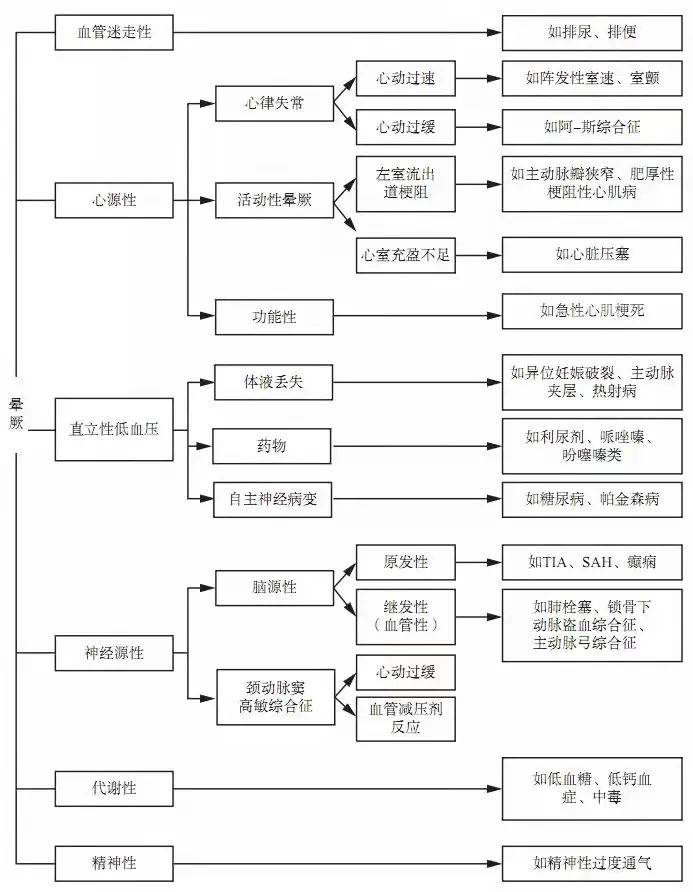 777778888王中王最新,探索數(shù)字背后的秘密，揭秘王中王最新與777778888背后的故事