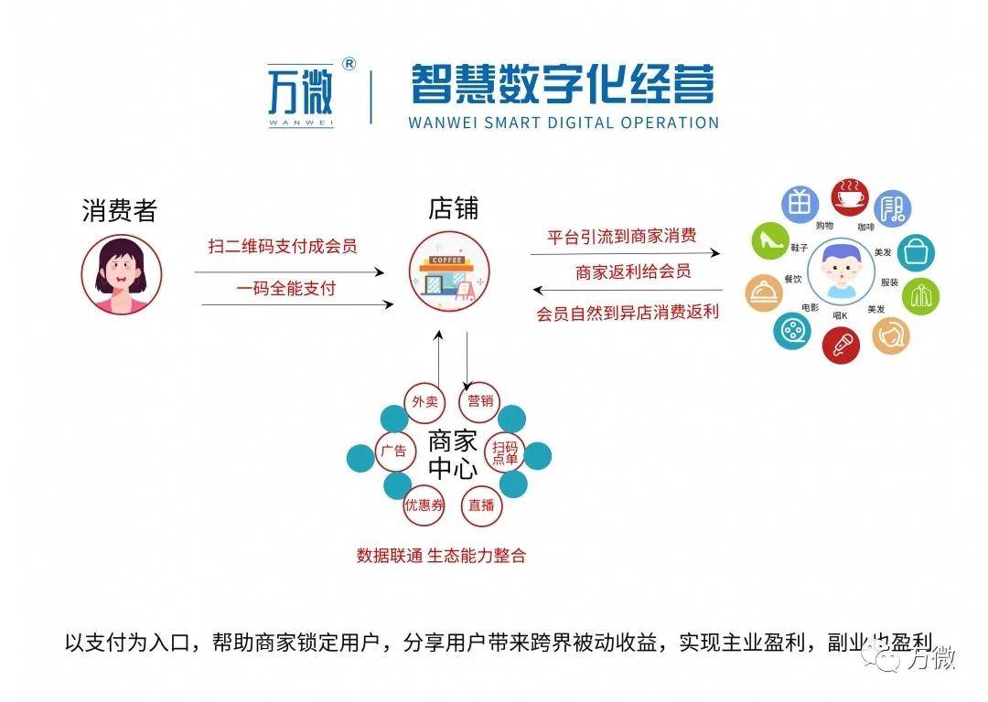 齊中網免費資料網,齊中網免費資料網，教育資源共享的新時代平臺