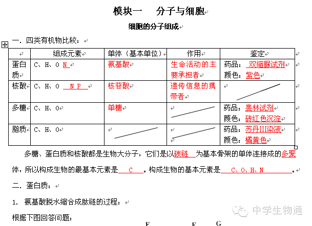 二四六港澳資料免費大全,二四六港澳資料免費大全，探索與獲取信息的指南