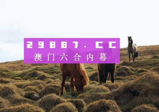 澳門六開獎結(jié)果2023開獎記錄查詢網(wǎng)站,澳門六開獎結(jié)果2023開獎記錄查詢網(wǎng)站，探索與解析