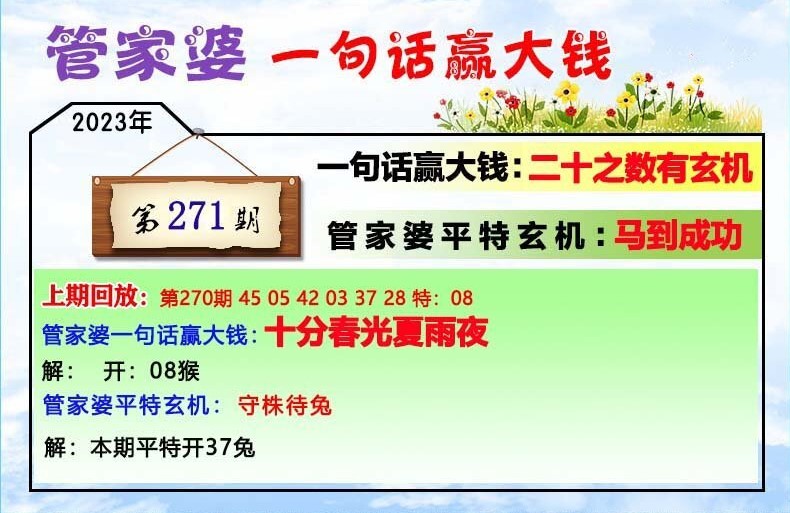 澳門一肖一碼100管家婆9995,澳門一肖一碼與管家婆9995，探索與解析