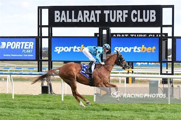 新澳今天開什么特馬,新澳今天開什么特馬，探索賽馬運動的魅力與奧秘