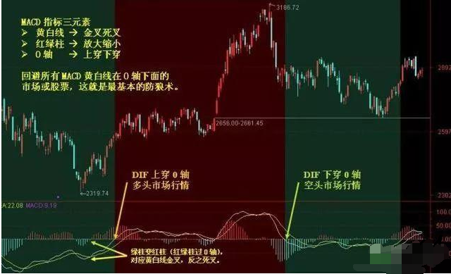 今晚上必開一肖,今晚上必開一肖，探索背后的神秘與預測的可能性