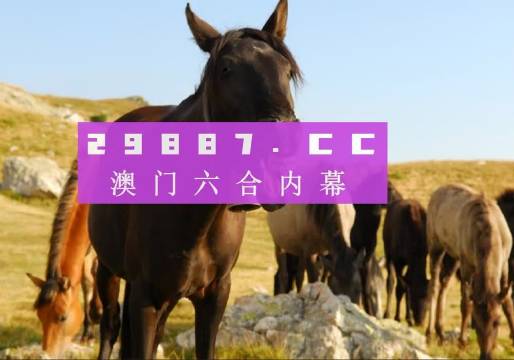 今晚澳門(mén)馬出什么特馬,今晚澳門(mén)馬出什么特馬，探索賽馬世界的神秘面紗