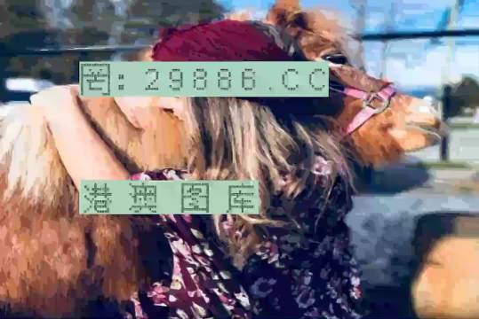 7777788888跑狗論壇資料,探索跑狗論壇，揭秘?cái)?shù)字組合77777與88888的魅力世界