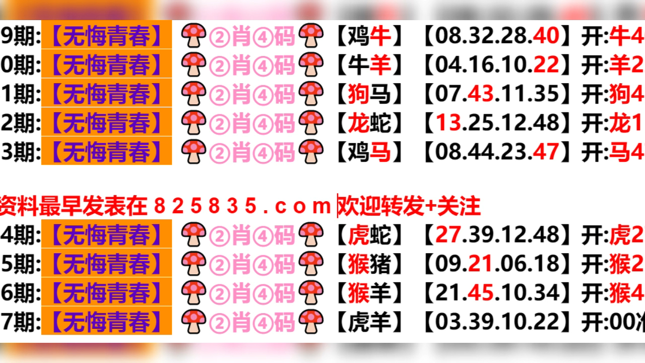 2024新奧門天天開好彩大全85期,探索新奧門，2024年天天開好彩的奧秘與期待