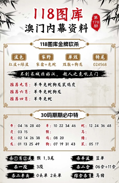 2024新澳今晚資料年051期,探索未來之門，新澳今晚資料年（2024年051期）展望與解析