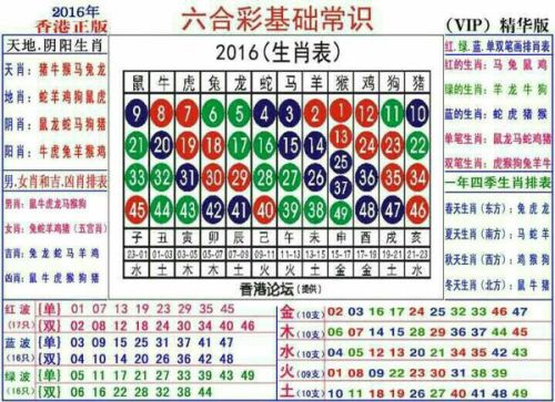 2024十二生肖49碼表,揭秘2024十二生肖與數(shù)字彩票的奇妙聯(lián)系——49碼表中的奧秘