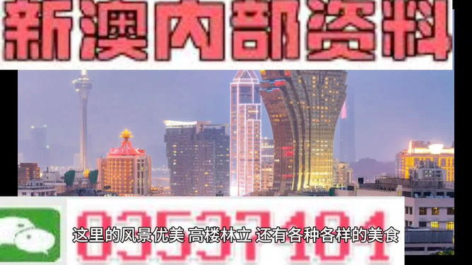 2024新澳資料免費精準(zhǔn)051,探索未來，2024新澳資料免費精準(zhǔn)051的全方位解讀