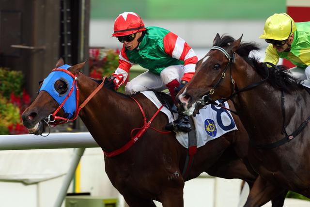 新澳今天開什么特馬,新澳今日賽馬盛況，探尋特馬競技的魅力