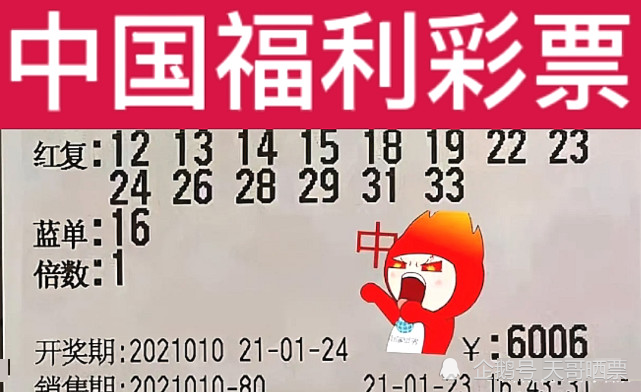 新澳2024今晚開獎結(jié)果,新澳2024今晚開獎結(jié)果，期待與驚喜交織的盛宴