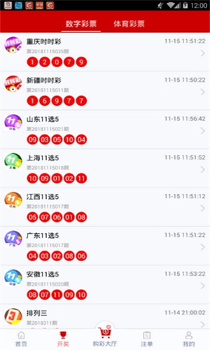 白小姐一碼一肖100準(zhǔn)確,白小姐一碼一肖，揭秘100%準(zhǔn)確的預(yù)測(cè)背后的秘密