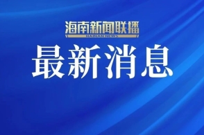 2924新澳正版免費資料大全,關(guān)于2924新澳正版免費資料大全的探討——警惕違法犯罪風險