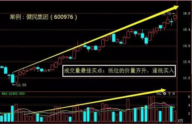 香港今晚開特馬 開獎(jiǎng)結(jié)果66期,香港今晚開特馬，第66期開獎(jiǎng)結(jié)果的期待與探索