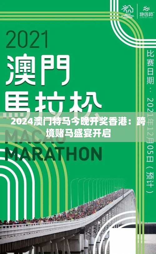 2024年澳門特馬今晚,探索澳門特馬的世界，2024年的今晚展望