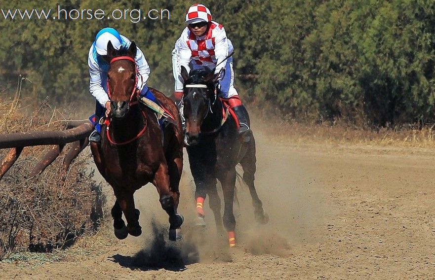 馬會香港7777788888,馬會香港，探索賽馬運(yùn)動的魅力與傳奇故事