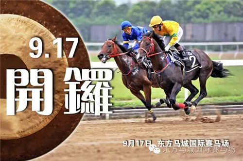 澳門今天晚上特馬開什么,澳門今晚特馬開什么，探索與解讀賽馬文化背后的秘密