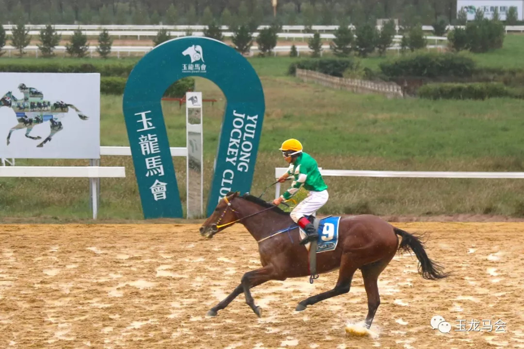 新澳今天開(kāi)什么特馬,新澳今天開(kāi)什么特馬，探索賽馬運(yùn)動(dòng)的魅力與奧秘