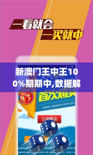 新澳門王中王王中王免費,新澳門王中王王中王免費，探索與體驗