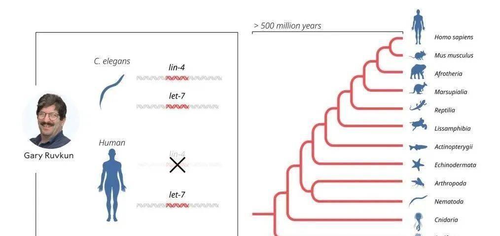 2024香港內(nèi)部最準(zhǔn)資料,揭秘香港內(nèi)部最準(zhǔn)資料，深度解讀香港未來藍圖（2024展望）