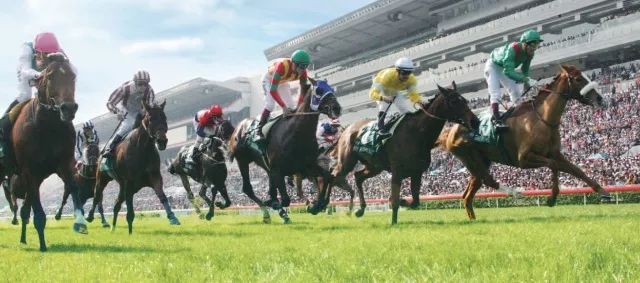 香港今晚開什么特馬,香港今晚開什么特馬，探索賽馬文化背后的故事