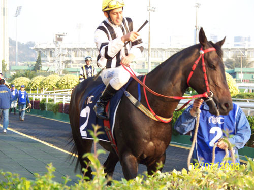 2024澳門正版今晚開特馬,澳門正版今晚開特馬，探索背后的故事與意義