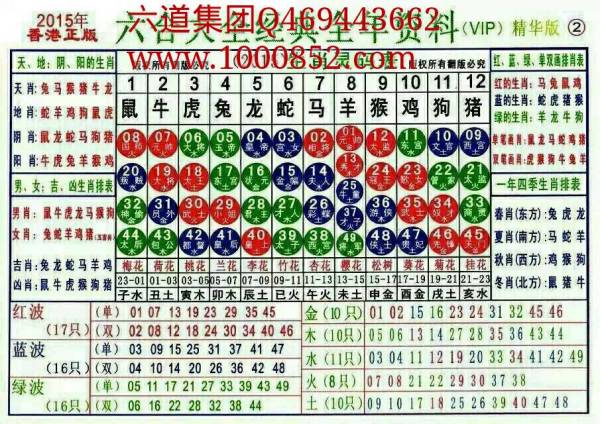 2025十二生肖49碼表,揭秘十二生肖與數(shù)字彩票的奇妙結(jié)合，2025年十二生肖49碼表解析