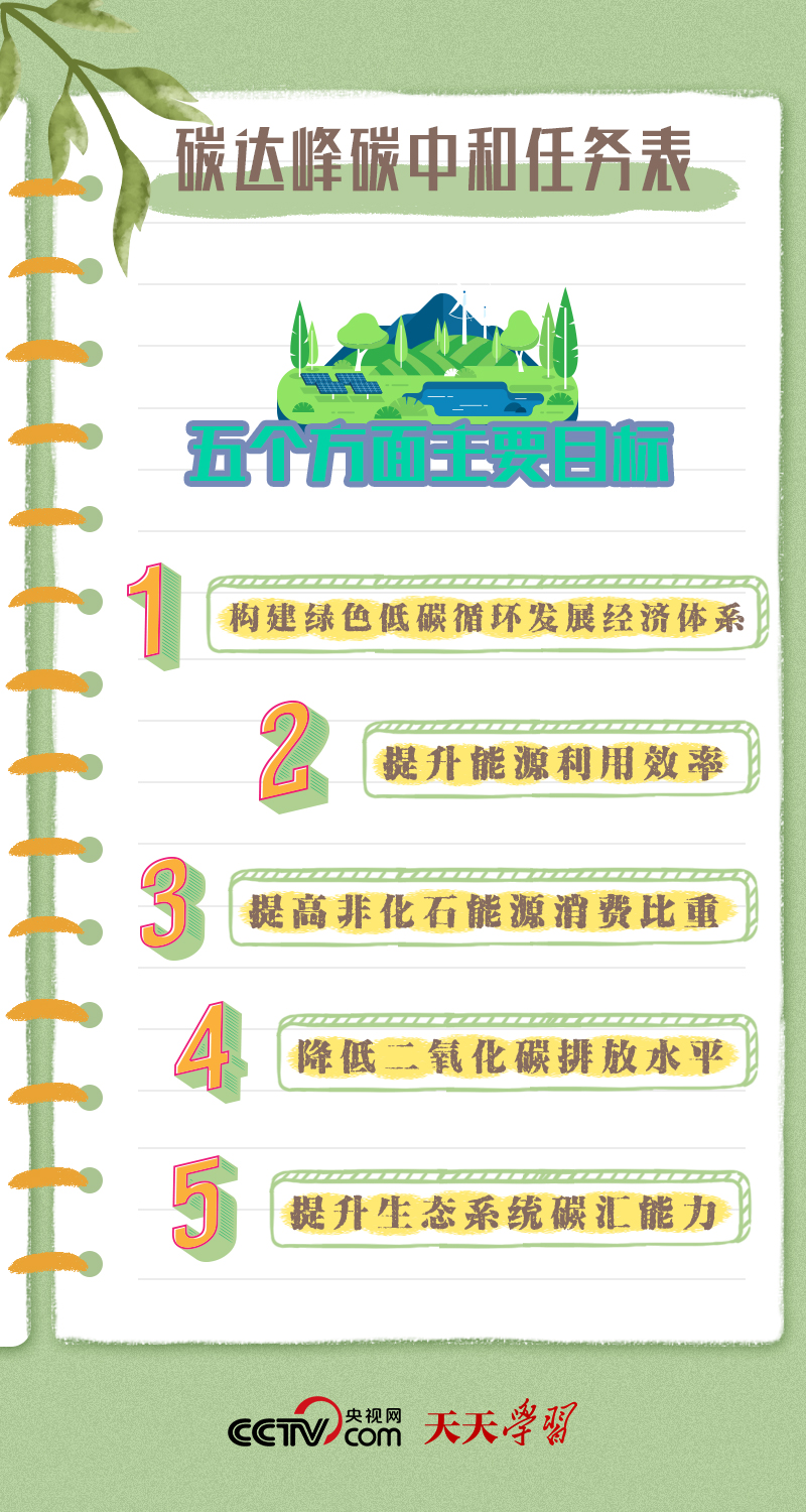 精準一肖100 準確精準的含義,精準一肖100，準確精準的含義與追求