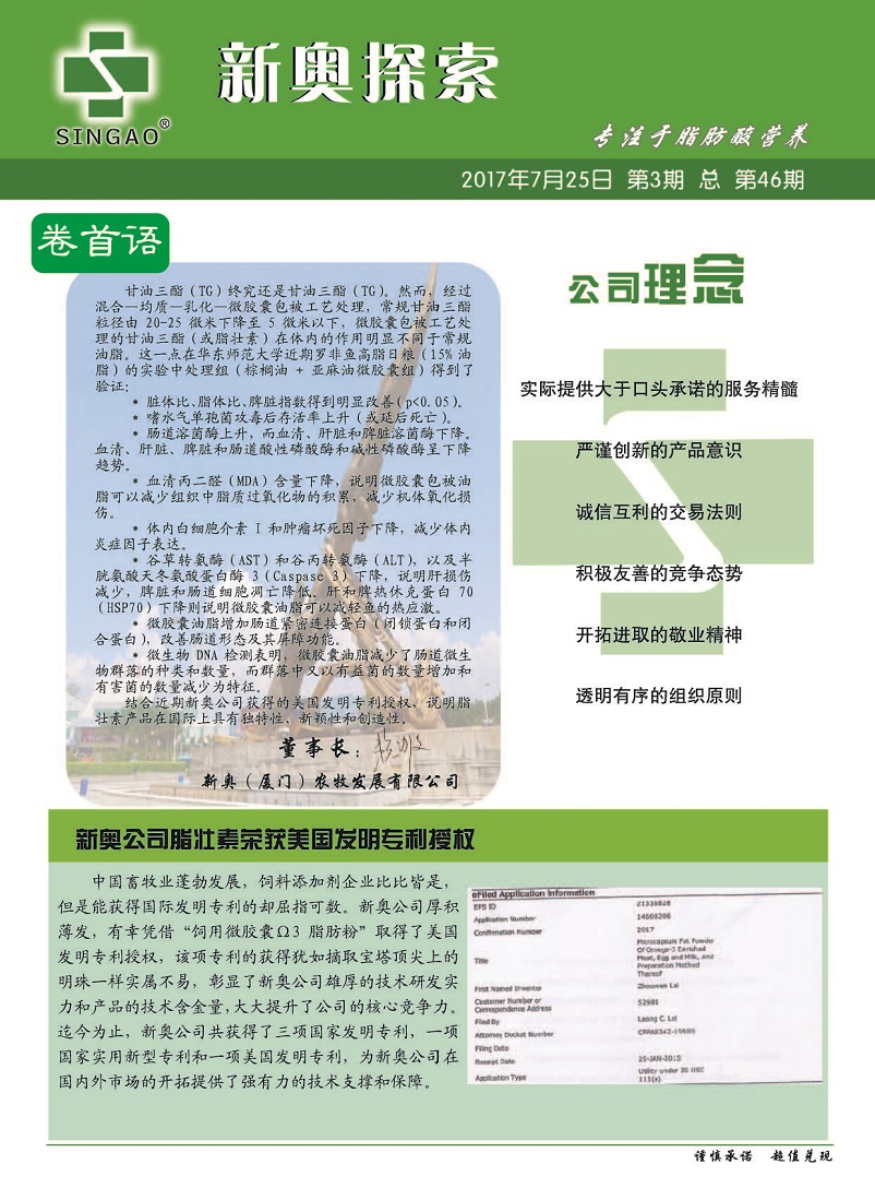 2025新奧精準(zhǔn)正版資料,探索未來，解析2025新奧精準(zhǔn)正版資料的重要性與價(jià)值