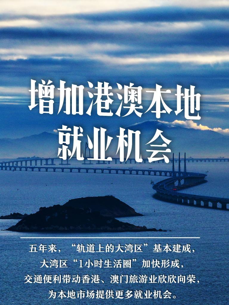 新澳門精準(zhǔn)的資料大全,新澳門精準(zhǔn)的資料大全，探索與解讀