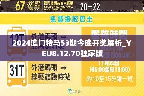 2025年澳門特馬今晚,探索澳門特馬的世界，2025年的今晚