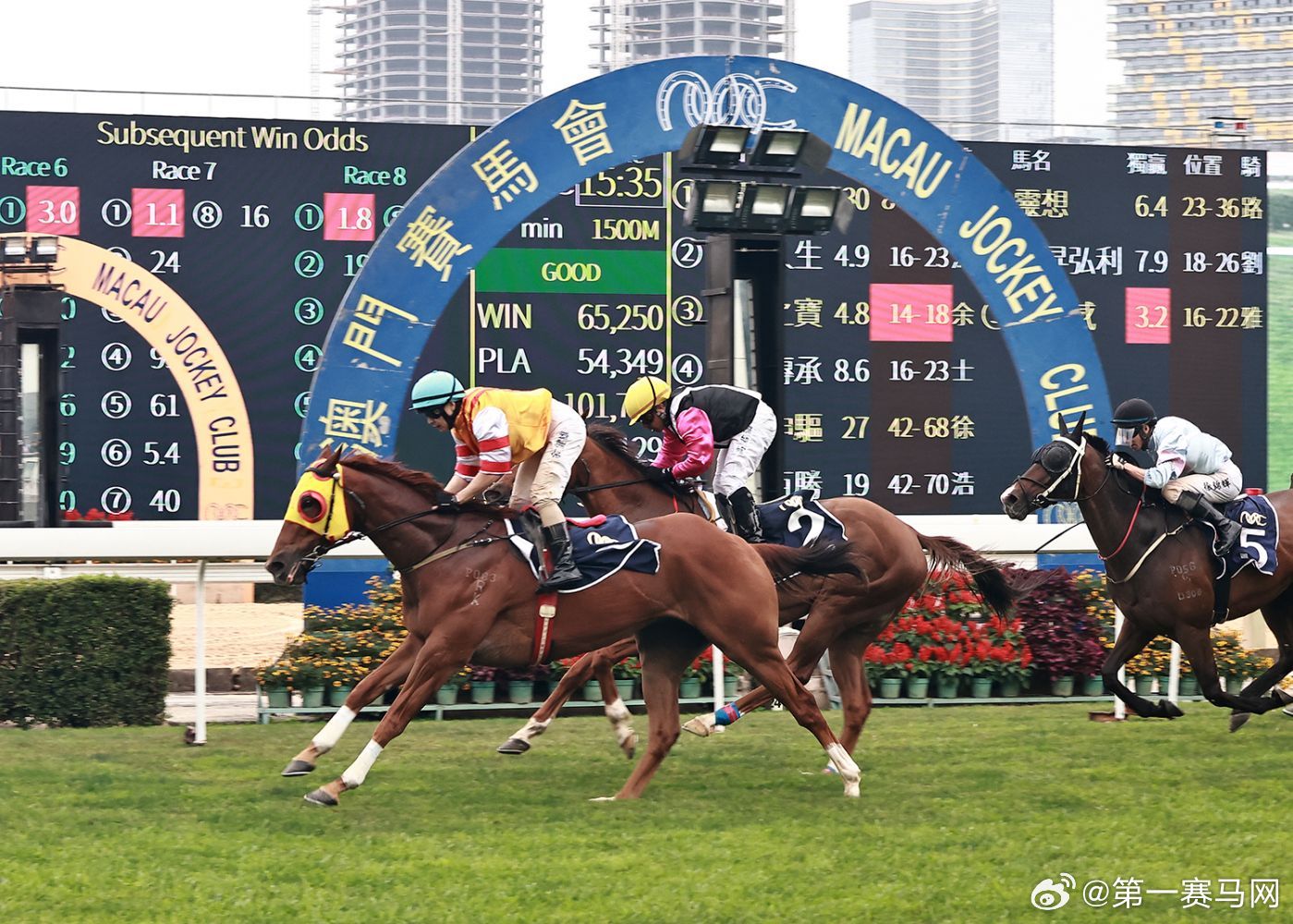 今晚澳門(mén)馬出什么特馬,今晚澳門(mén)馬出什么特馬，探索澳門(mén)賽馬世界的神秘面紗